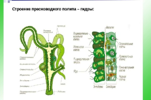 Kraken вход зеркало