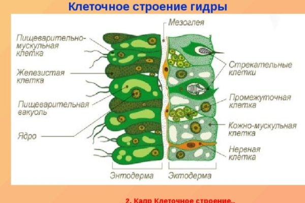 Как закинуть деньги на кракен