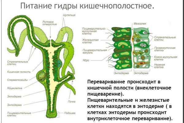Kraken 15at сайт