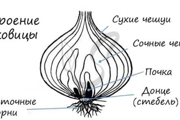 Кракен сайт