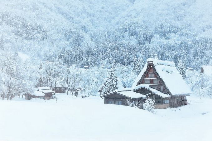 Кракен через браузер